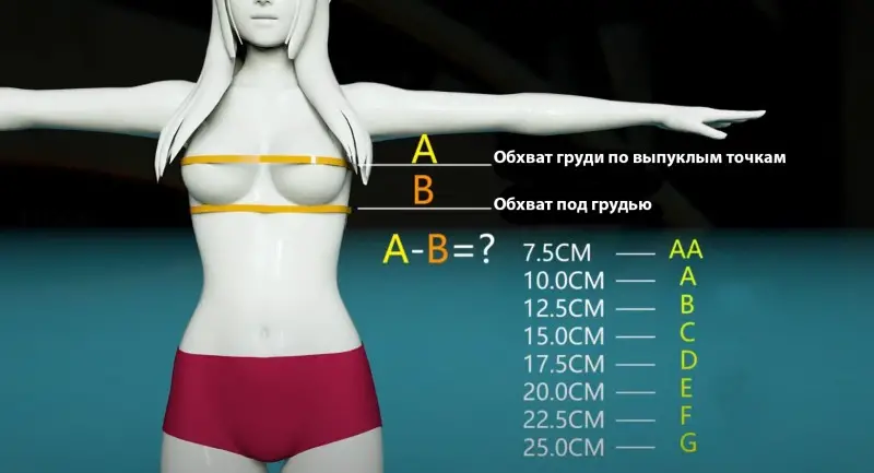 Breast size in Genshin Impact: which character has the biggest