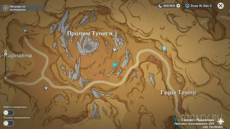 Grey crystal monsters in the Tuniga Gap in Genshin Impact: how to solve the puzzle