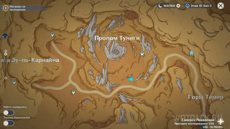 Grey crystal monsters in Tuniga Gap in Genshin Impact: how to solve the puzzle