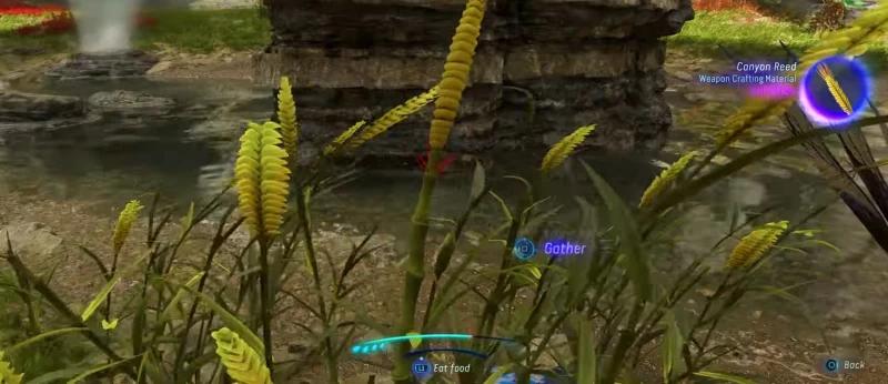 Gifts for the Zesva clan in Avatar Frontiers of Pandora: where to find baskets and materials