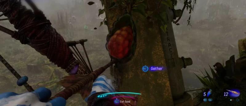Gifts for the Zesva clan in Avatar Frontiers of Pandora: where to find baskets and materials