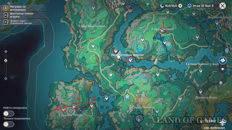Hidden teleports Chenyu Valley in Genshin Impact: how to open everything