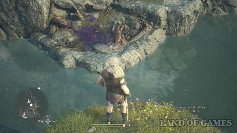 Nest of Trouble in Dragon's Dogma 2: How to start and destroy a lizard lair