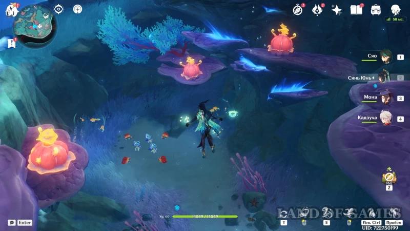 Sweet-sounding flowers in Genshin Impact: how to solve puzzles with anemones