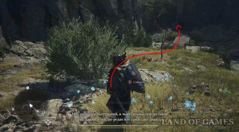 Wolf prey in Dragon's Dogma 2 : where to find Rog