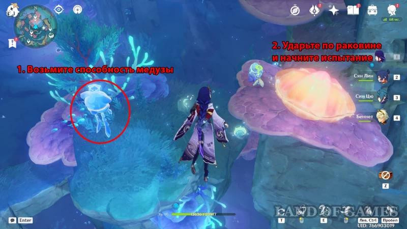 The puzzle with octopuses and anemones at the Janus Gate in Genshin Impact: how to solve