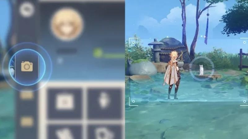  A trillion decorations in Genshin Impact: how to find enemies, collect curiosities and remove objects