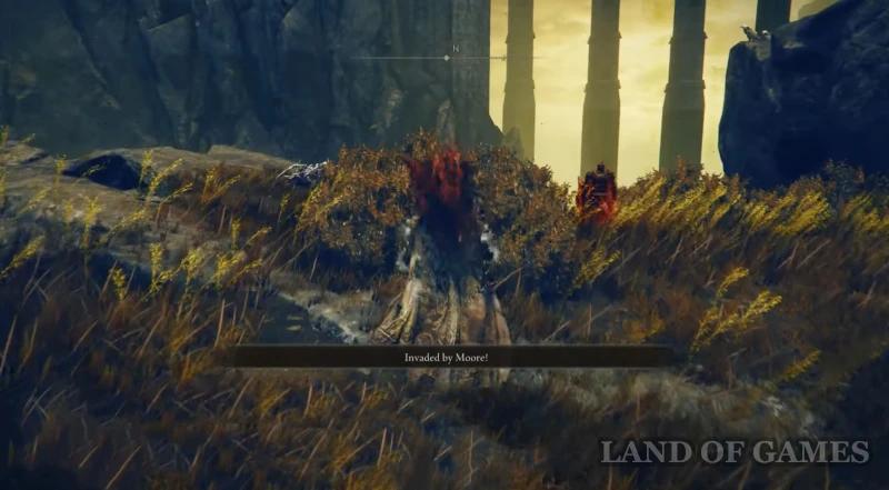 Mur in Elden Ring Shadow of the Edtree: where to find Gatherer's Guides