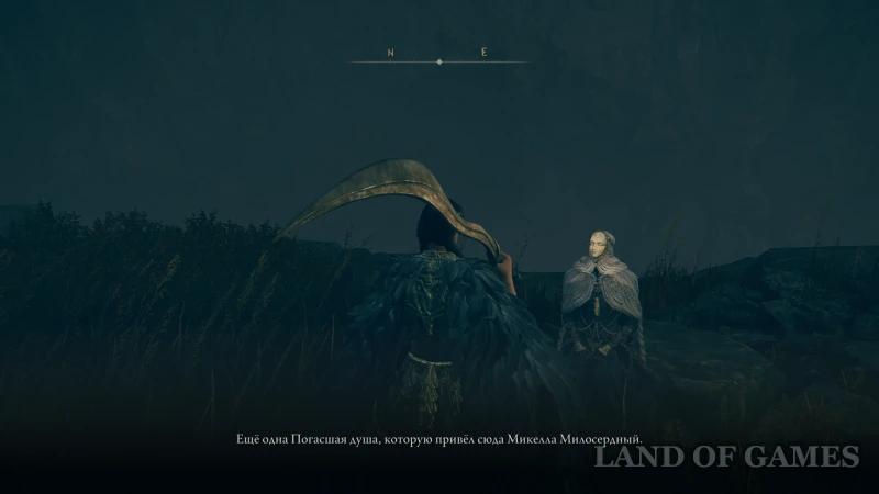 Tiole and Trina in Elden Ring Shadow of the Erdtree: quest walkthrough and endings