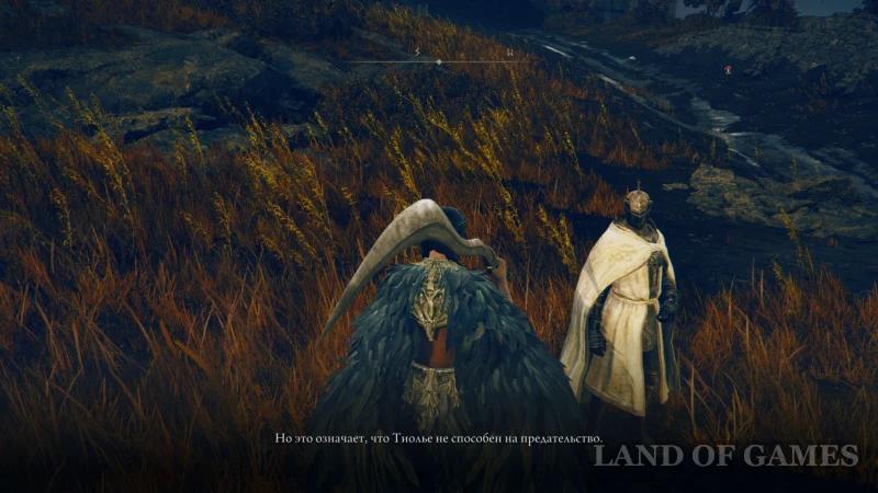 Tiole and Trina in Elden Ring Shadow of the Erdtree: quest walkthrough and endings