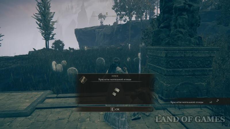 Armor in Elden Ring Shadow of the Erdtree: where to find and how to choose the best