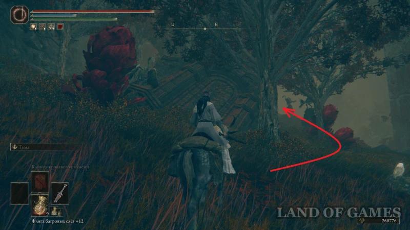 Armor in Elden Ring Shadow of the Erdtree: where to find and how to choose the best