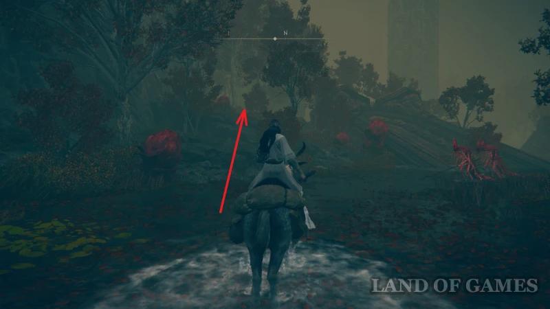 Armor in Elden Ring Shadow of the Erdtree: where to find and how to choose the best