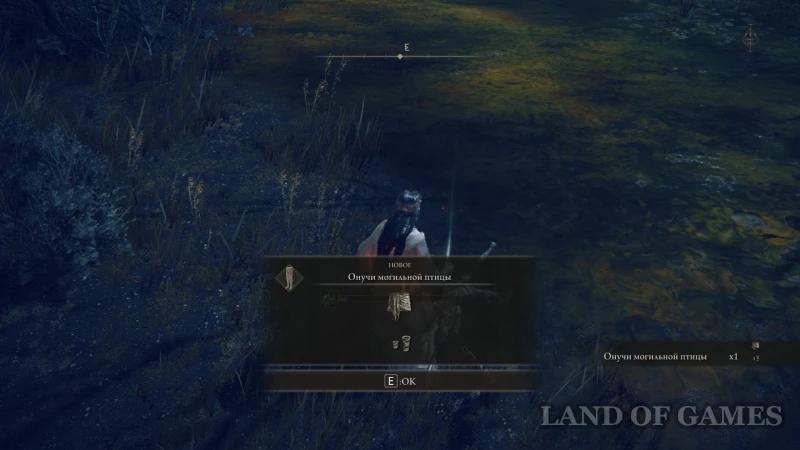 Armor in Elden Ring Shadow of the Erdtree: where to find and how to choose the best