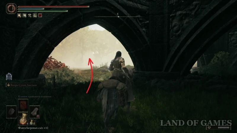 Dane Suhoj List in Elden Ring Shadow of the Erdtree: how to complete the quest and get the armor