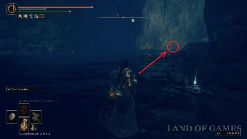 Dein Dry Leaf in Elden Ring Shadow of the Erdtree: how to pass quest and pick up the armor