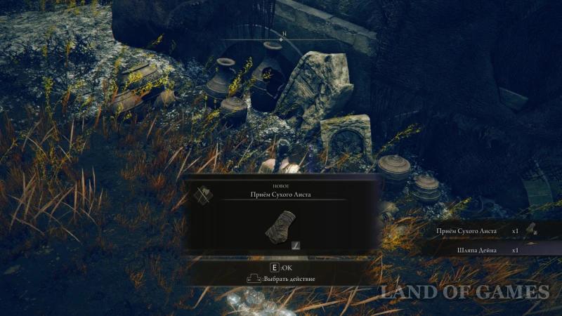 Dane Suhoj Leaf in Elden Ring Shadow of the Erdtree: how to complete the quest and get the armor