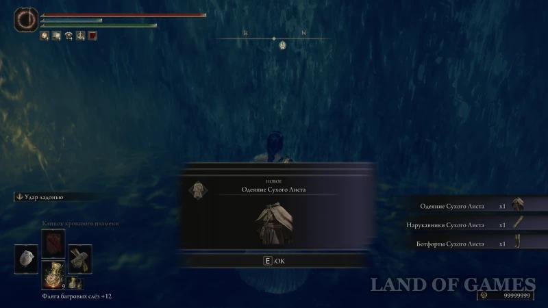 Dein Dry Leaf in Elden Ring Shadow of the Erdtree : how to complete the quest and get the armor