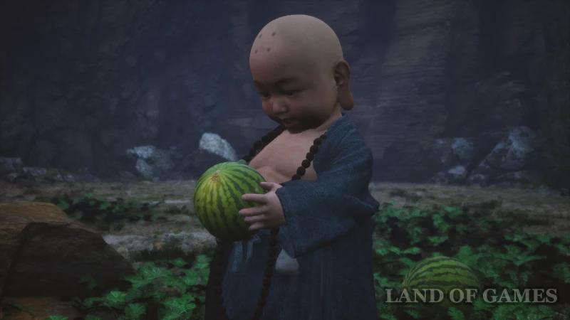 Treasure Hunter in Black Myth Wukong: How to Find a Field of Watermelons