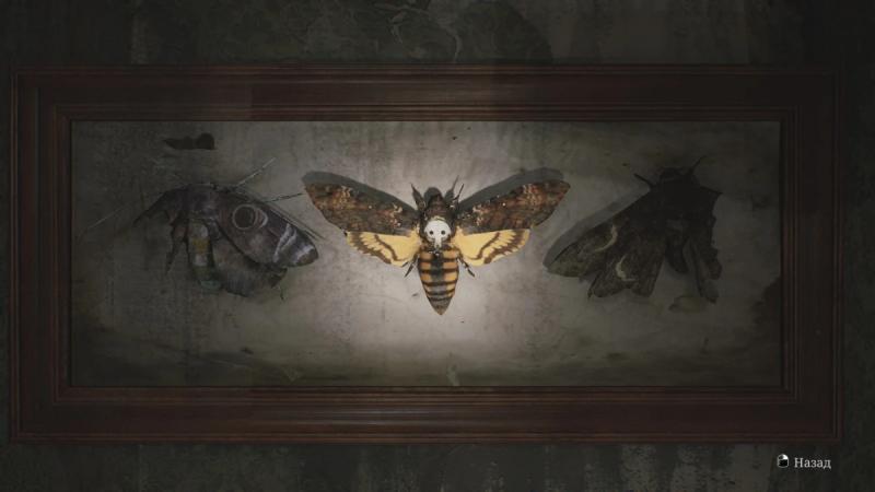 Silent Hill 2 Remake Moth Puzzle: How to Open the Lock in Room 202