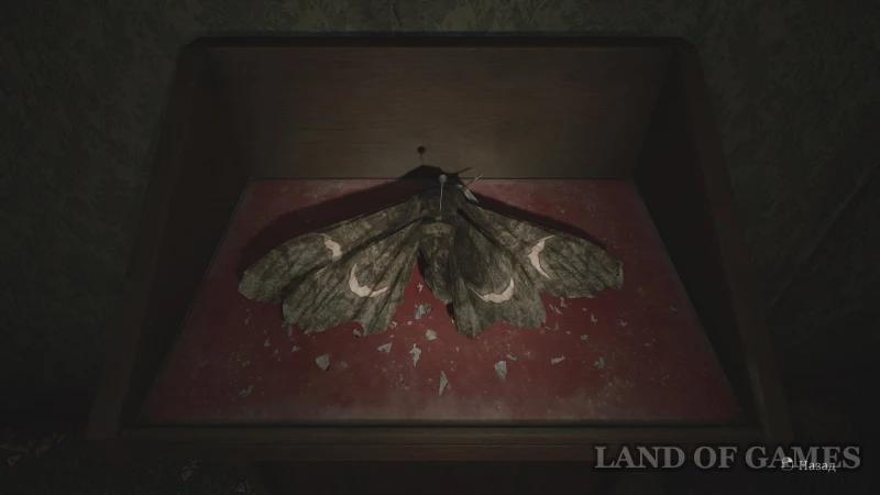 Moth Puzzle in Silent Hill 2 Remake: How to Open the Lock in Room 202