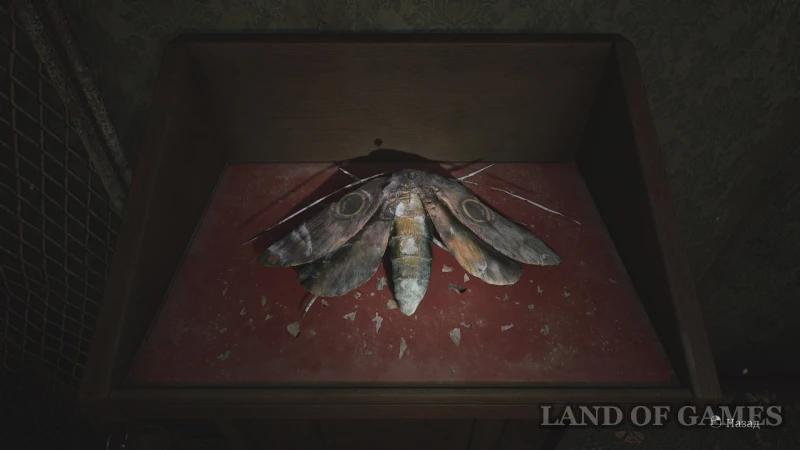 Moth Puzzle in Silent Hill 2 Remake: How to Open the Lock in Room 202