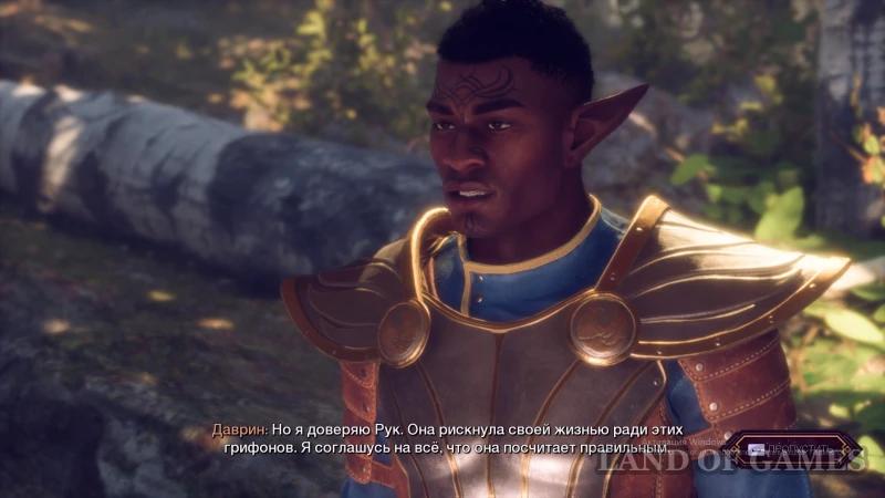 Griffins in Dragon Age The Veilguard: release or return to the Grey Wardens