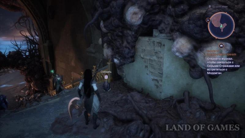 The Source of Corruption in Dragon Age The Veilguard: How to Cleanse Lighthouse Island