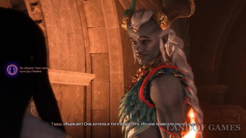 Kunari or Rivain in Dragon Age The Veilguard: whose culture should Taash adopt