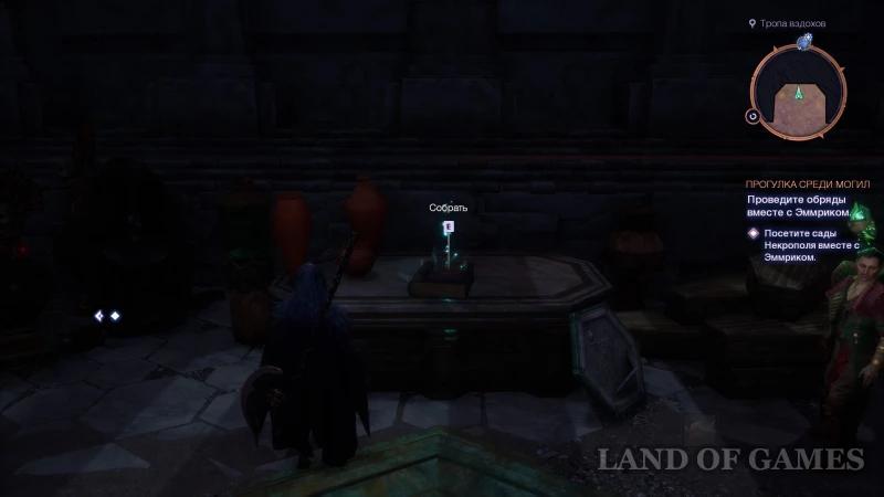 Memorabilia in Dragon Age The Veilguard: how to find and increase the power of the Overseer