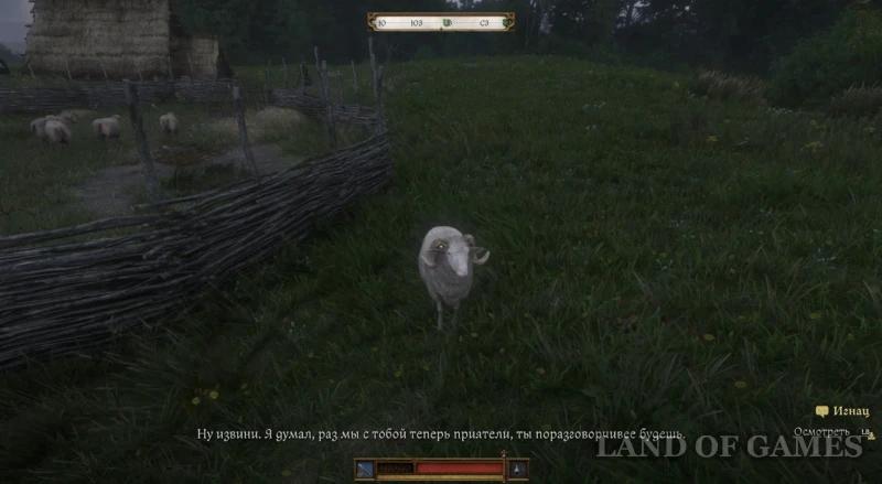 Barbos in Kingdom Come Deliverance 2: how to find a dog