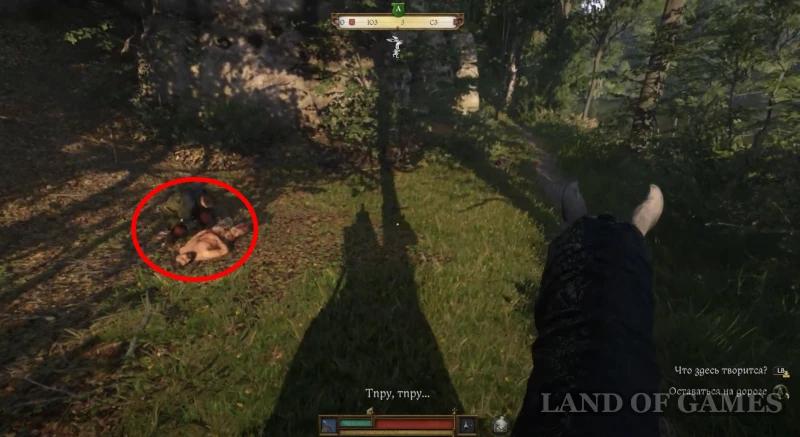 Barbos in Kingdom Come Deliverance 2: how to find a dog