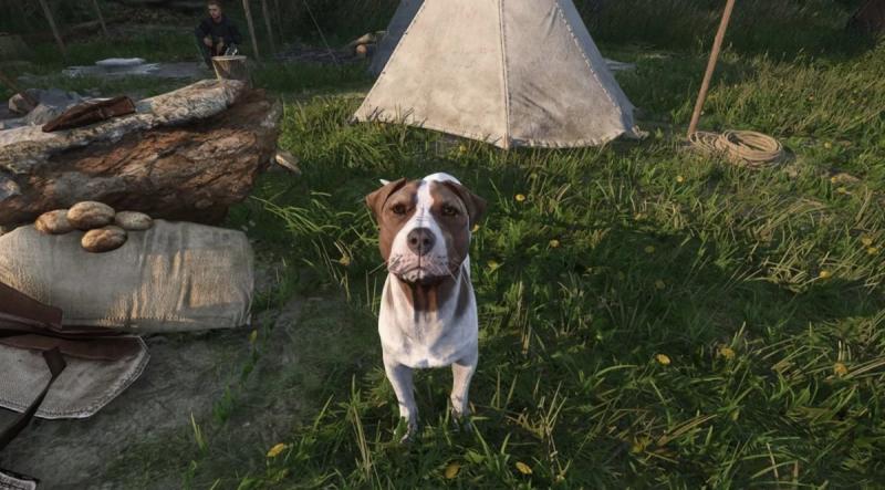 Barbos in Kingdom Come Deliverance 2: How to Find a Dog