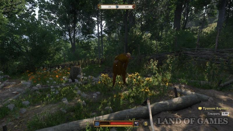 Barbos in Kingdom Come Deliverance 2: how to find a dog