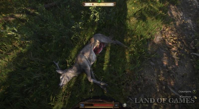 Barbos in Kingdom Come Deliverance 2: how to find a dog