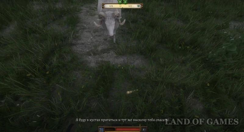 Barbos in Kingdom Come Deliverance 2: how to find a dog