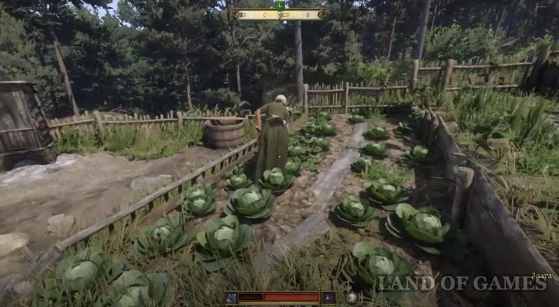 Barbos in Kingdom Come Deliverance 2: how to find a dog