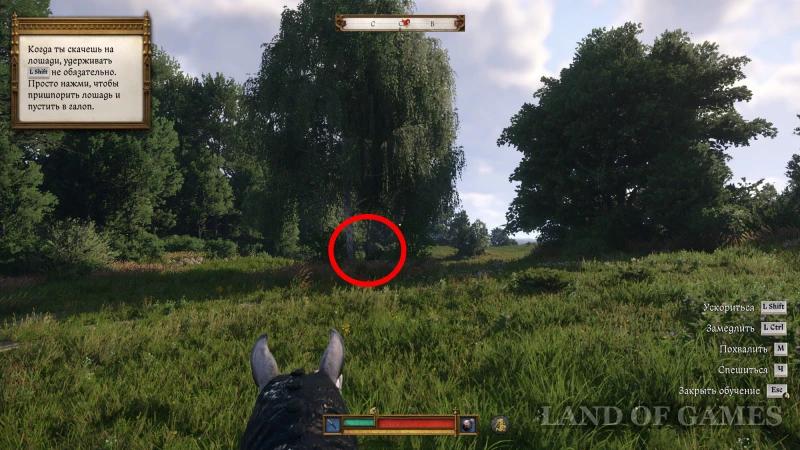 Barbos in Kingdom Come Deliverance 2: how to find a dog