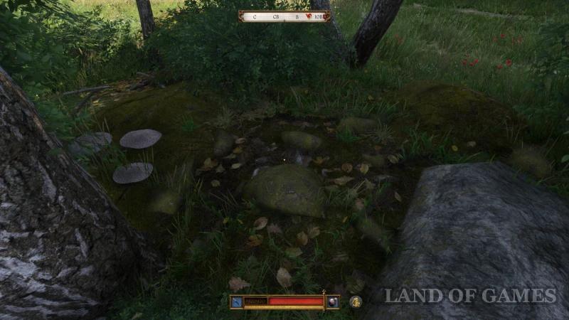 Barbos in Kingdom Come Deliverance 2: How to Find a Dog