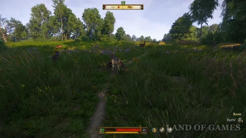 Predatory bird in Kingdom Come Deliverance 2: How to track all the ducles