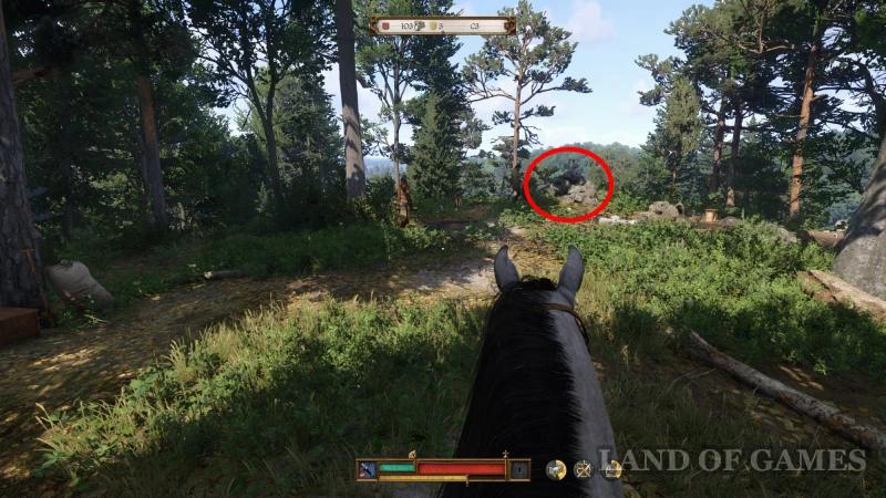 Lion on the coat of arms in Kingdom Come Deliverance 2: where to find Bruncvik's armor