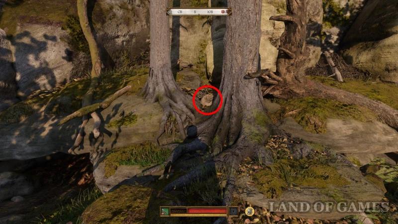 Lion on the coat of arms in Kingdom Come Deliverance 2: where to find Bruncvik's armor