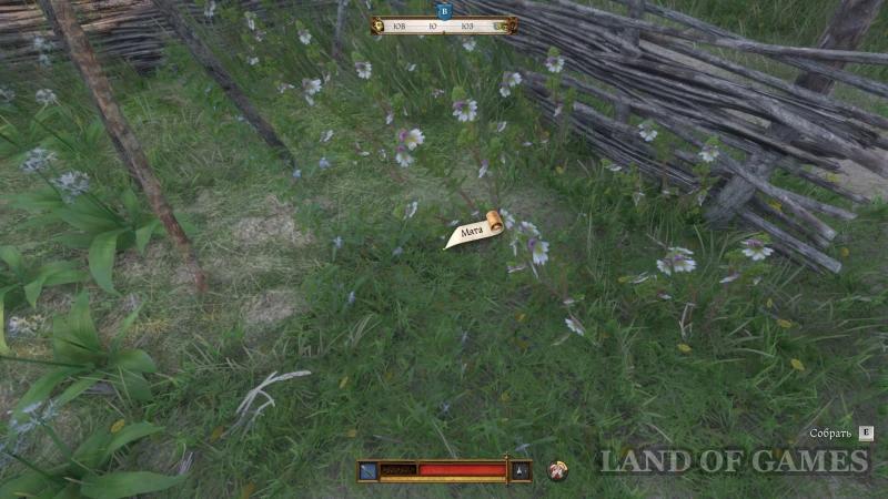 Opus Magnum in Kingdom Come Deliverance 2: how to find the book for the miller