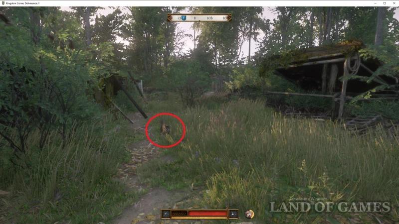 Forbidden fruit in Kingdom Come Deliverance 2: how to find a saltpeter pit