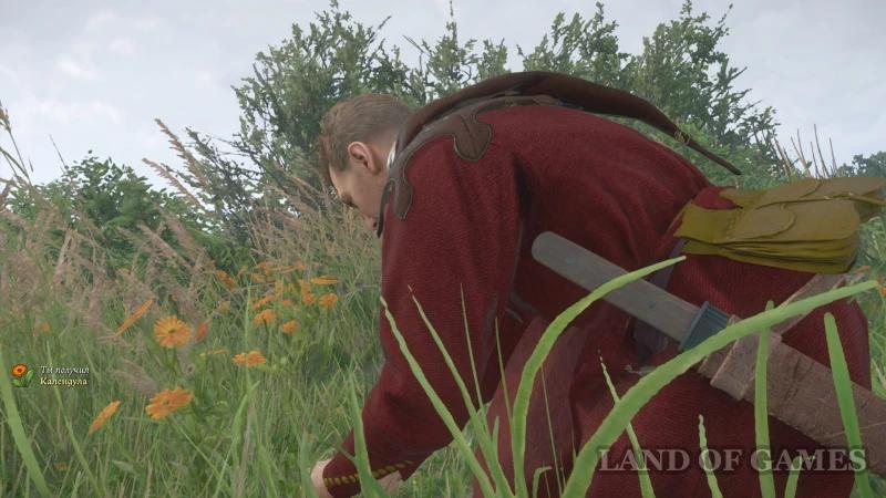 Forbidden fruit in Kingdom Come Deliverance 2: how to find a saltpeter pit