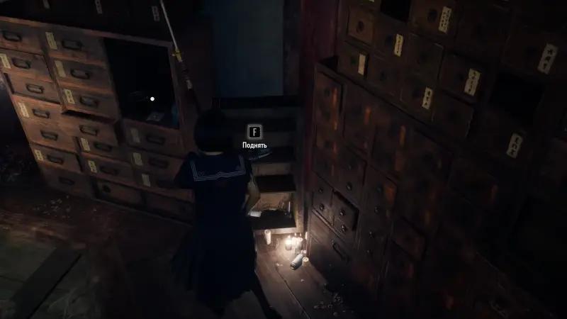 Puzzles in the Hall Silent Hill Worship f: Rinko's Cage and Shu's Memories