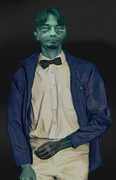 All characters and guests in No, I’m not a Human: how to distinguish