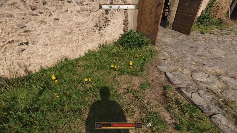 Anamnesis in Kingdom Come Deliverance 2: how to search the cellar and get the key of the Blessed