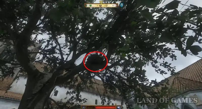 Our Daily Bread in Kingdom Come Deliverance 2: where to find a book, crayfish and glasses