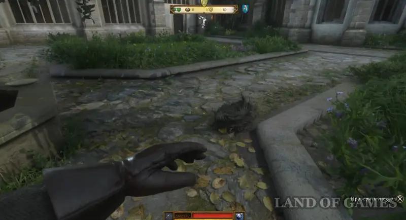 Our Daily Bread in Kingdom Come Deliverance 2: where to find a book, crayfish and glasses